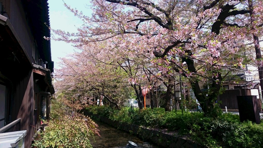 DSC_0845.JPG