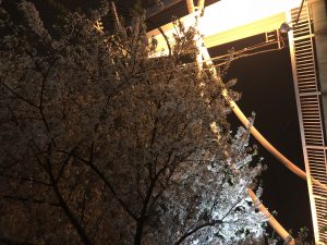スタッフ写メ日記