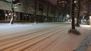 スタッフ写メ日記