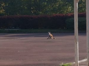 スタッフ写メ日記