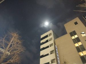 スタッフ写メ日記
