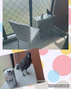 スタッフ写メ日記