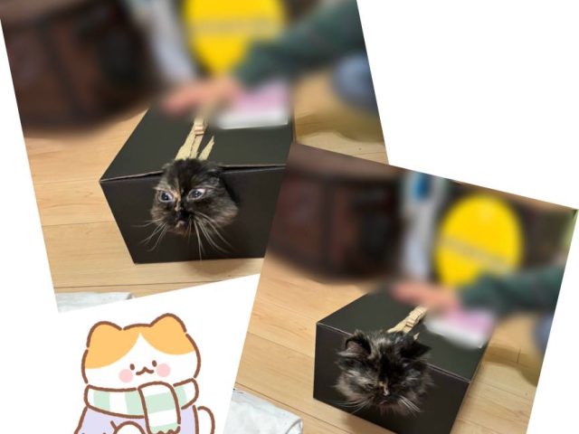 スタッフ写メ日記