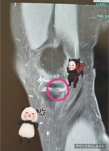 スタッフ写メ日記