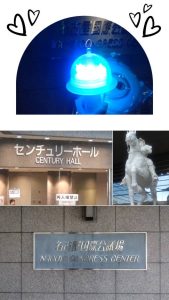 スタッフ写メ日記