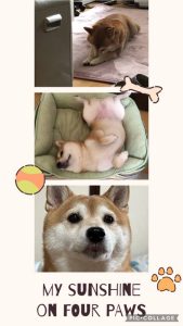 スタッフ写メ日記