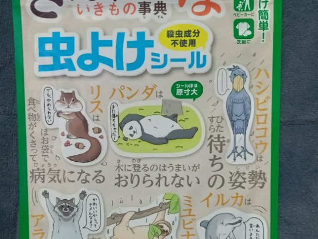 スタッフ写メ日記