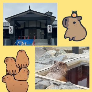 スタッフ写メ日記