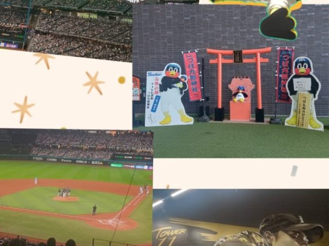 スタッフ写メ日記
