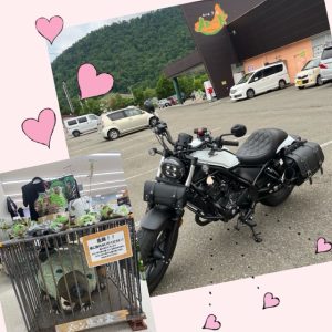 スタッフ写メ日記