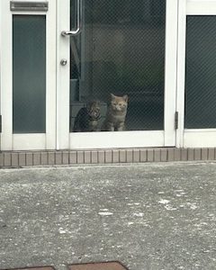 スタッフ写メ日記
