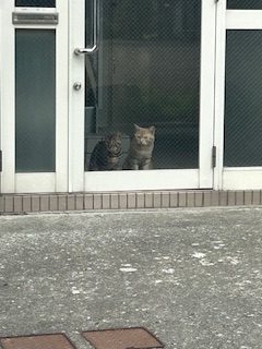 スタッフ写メ日記