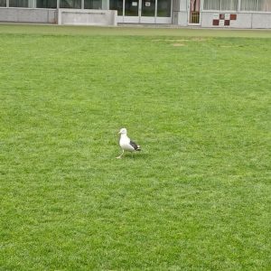 スタッフ写メ日記