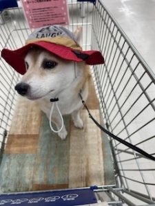 スタッフ写メ日記