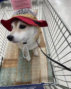 スタッフ写メ日記