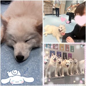 スタッフ写メ日記