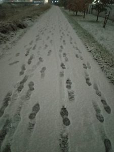 スタッフ写メ日記