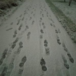 スタッフ写メ日記