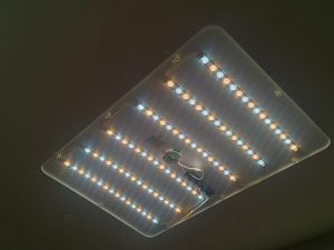 スタッフ写メ日記