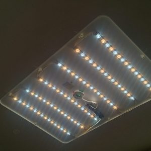 スタッフ写メ日記