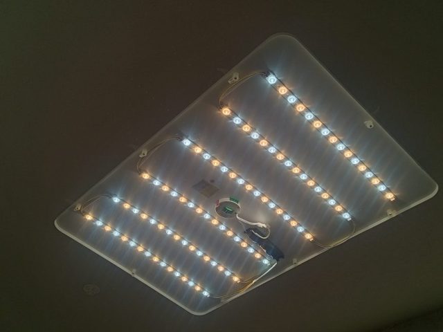 スタッフ写メ日記