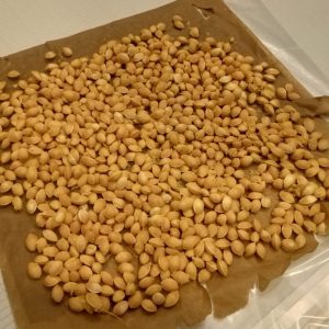 スタッフ写メ日記