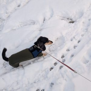 スタッフ写メ日記