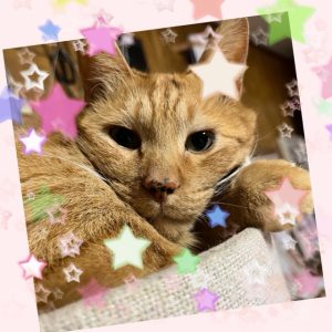 スタッフ写メ日記