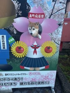 スタッフ写メ日記