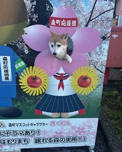 スタッフ写メ日記