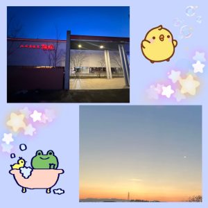 スタッフ写メ日記