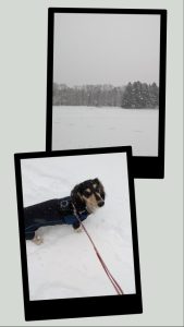 スタッフ写メ日記