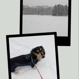 スタッフ写メ日記