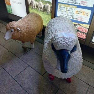 スタッフ写メ日記