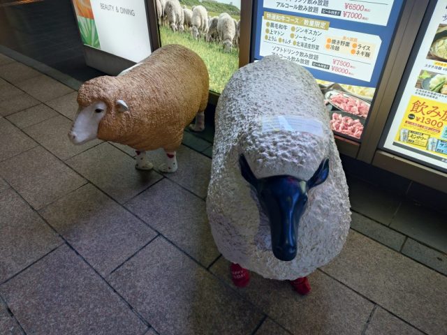 スタッフ写メ日記