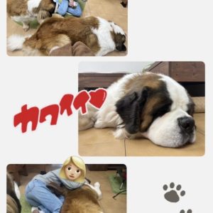 スタッフ写メ日記