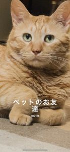 スタッフ写メ日記