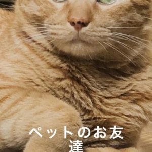 スタッフ写メ日記