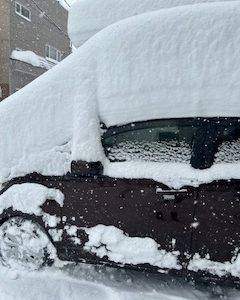 スタッフ写メ日記