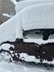 スタッフ写メ日記