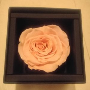 スタッフ写メ日記