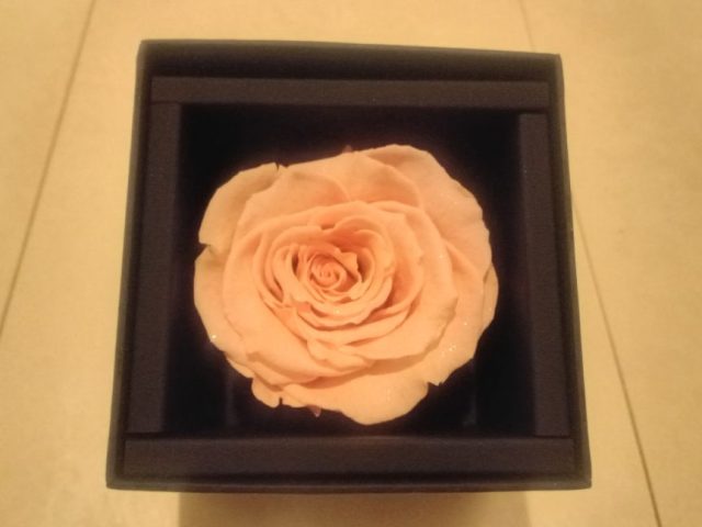 スタッフ写メ日記