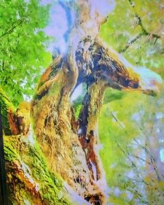 スタッフ写メ日記