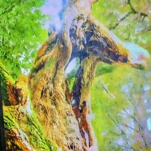 スタッフ写メ日記