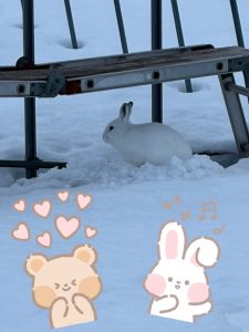 スタッフ写メ日記