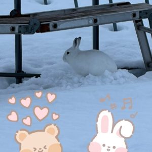 スタッフ写メ日記