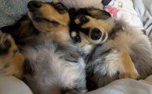 スタッフ写メ日記