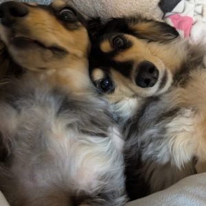 スタッフ写メ日記