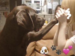 スタッフ写メ日記