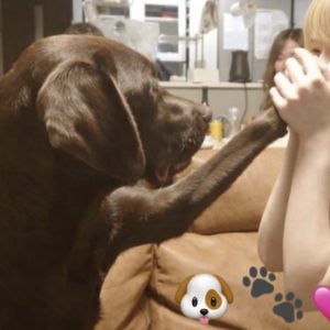 スタッフ写メ日記